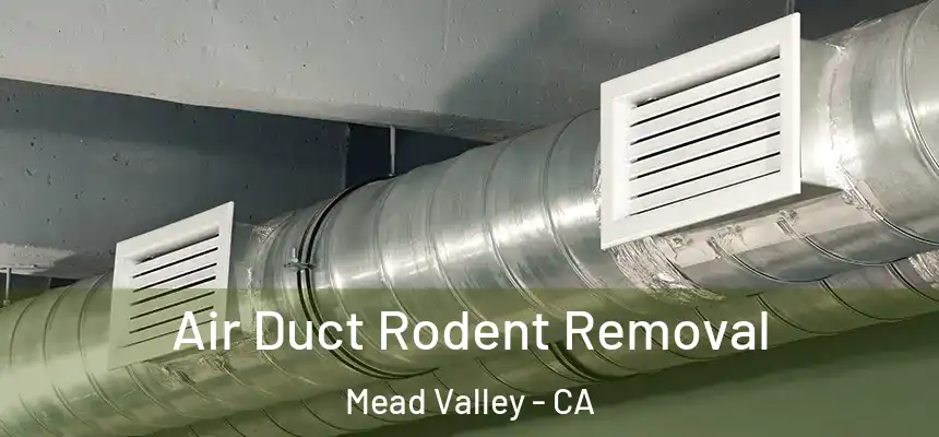  Air Duct Rodent Removal Mead Valley - CA