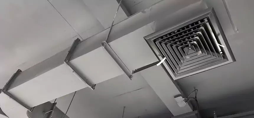 Restorative Allergy Relief Vent Cleaning – Coil, Blower & Housing Detail in Mead Valley