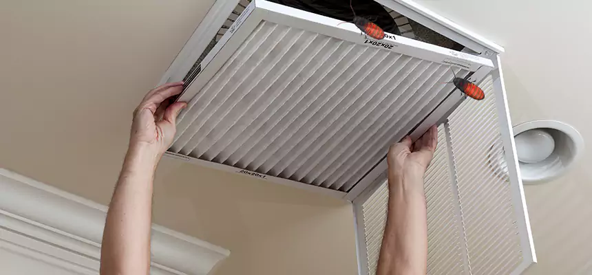 Our Insect Removal from Air Ducts Services in Mead Valley, CA