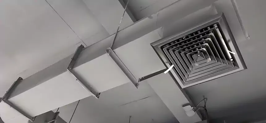 Our Pest Removal From Ducts Services in Mead Valley, CA