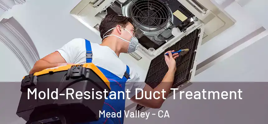  Mold-Resistant Duct Treatment Mead Valley - CA
