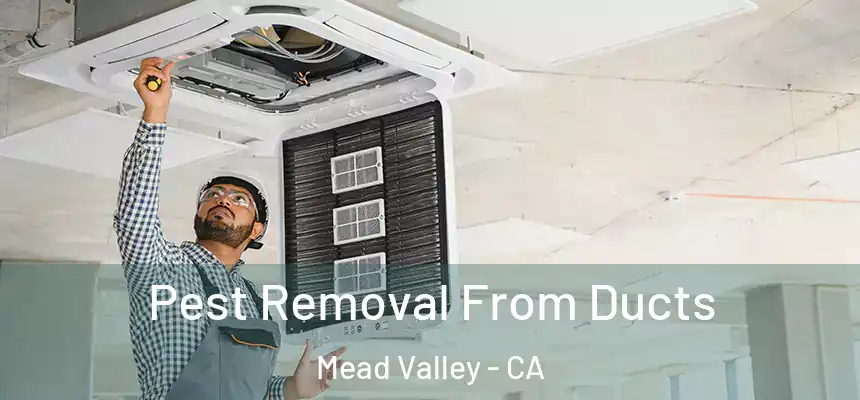  Pest Removal From Ducts Mead Valley - CA
