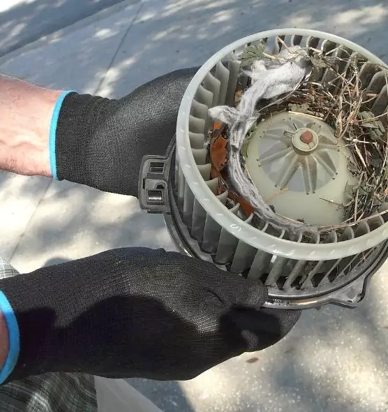 About Air Duct Rat Removal in Mead Valley, CA