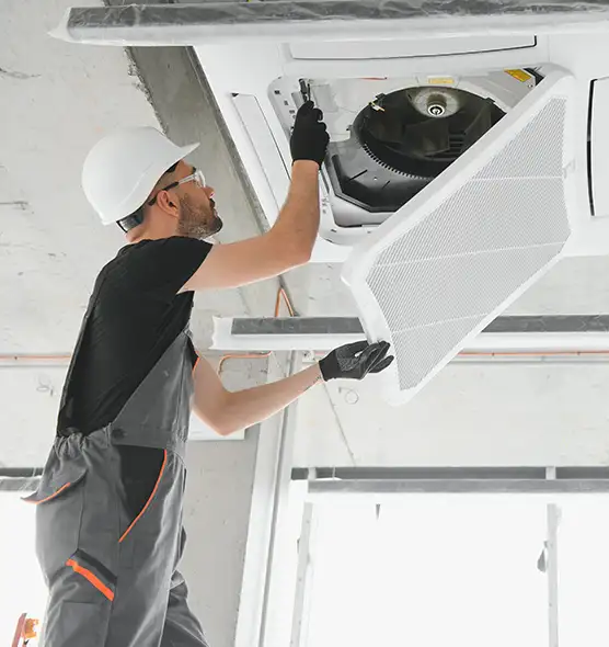 About Air Duct Rodent Removal in Mead Valley, CA