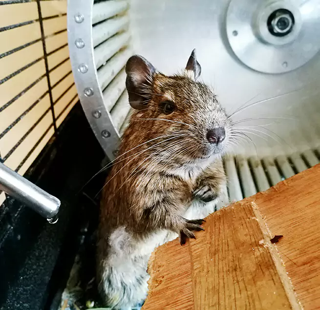 Why Homeowners & Businesses Trust Us Mead Valley, CA