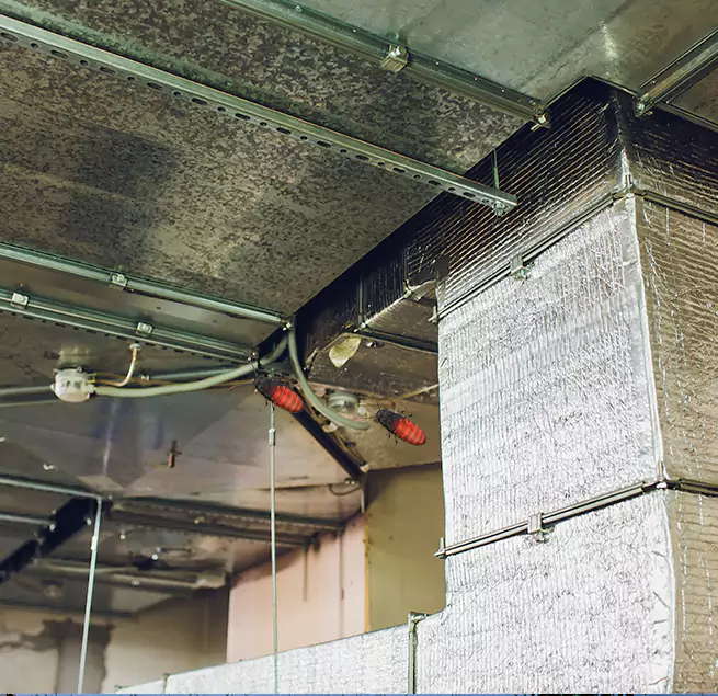 Why Homeowners & Businesses Trust Us Mead Valley, CA?