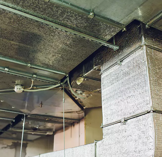 Why Homeowners & Businesses Trust Us in Mead Valley, CA?